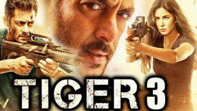 Photo of Tiger 3: इस दिन रिलीज होगी सलमान-कटरीना की फिल्म Tiger 3, फिल्म का टीजर भी हुआ रिलीज