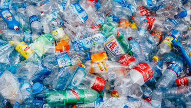 Photo of Single Use Plastic से बनाई जाएगी भारत के इस शहर की सड़क