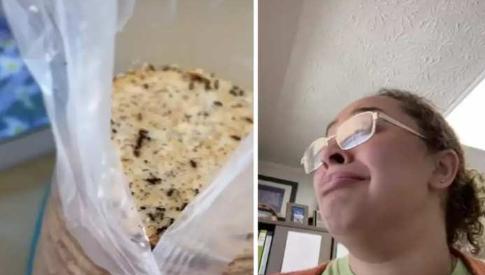biscuit with ants